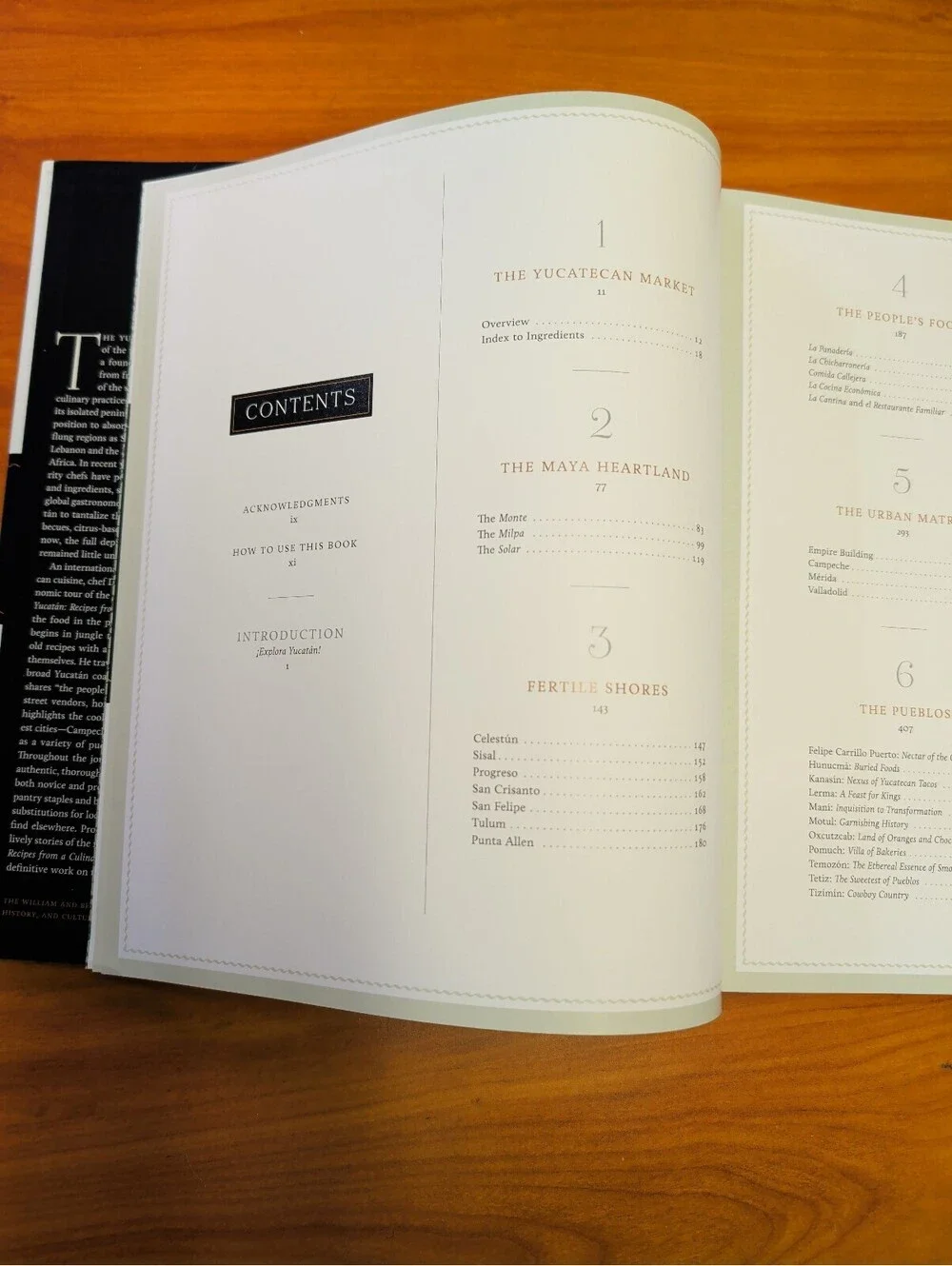 Yucatán: Recipes from a Culinary Expedition by David Sterling
